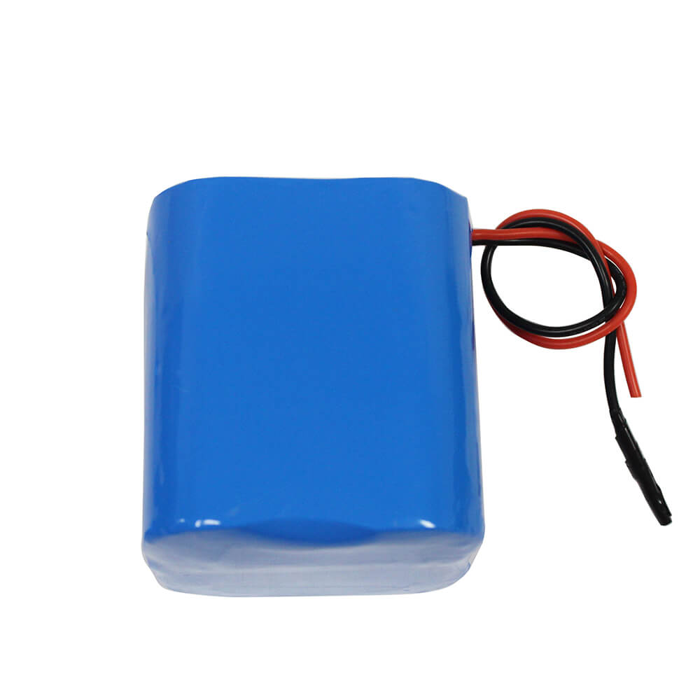 Batería LiFePO4 de 6V 12Ah para sensor